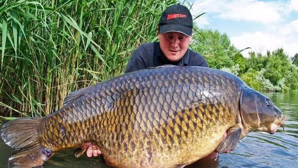 A prins un crap uriaș și l-a adus acasă. Când a despicat peștele a urmat șocul