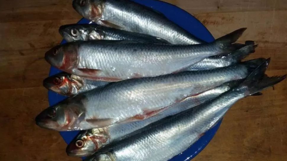 Peştele miraculos care îţi curăţă vasele de sânge de colesterol