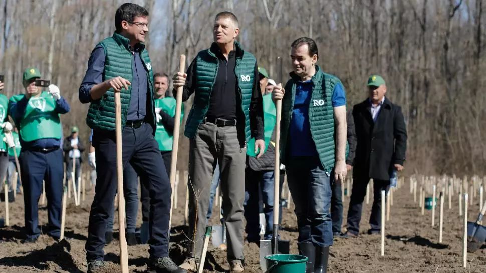 Klaus Iohannis: „Este nevoie să creştem semnificativ suprafaţa împădurită din România"