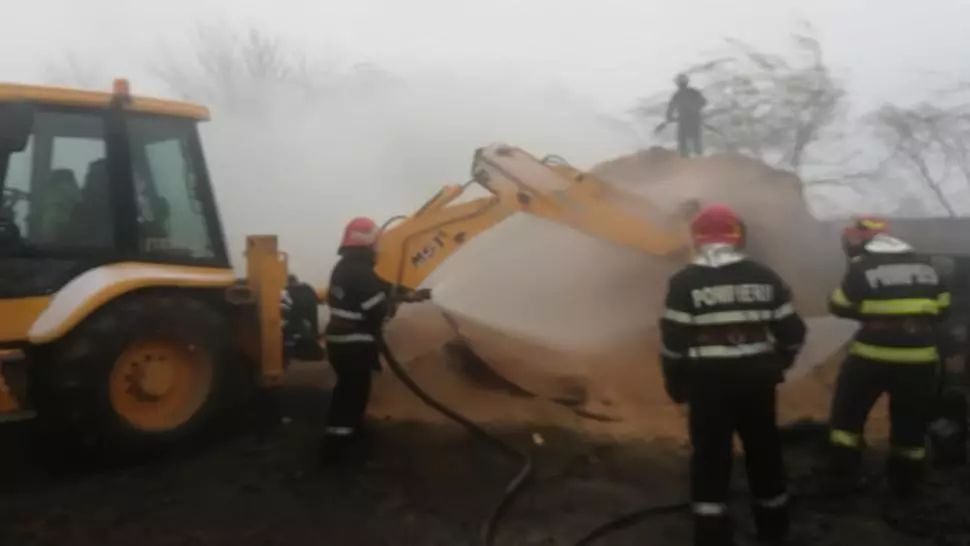  O fabrică de peleți și un adăpost de animale, cuprinse de flăcări. Au murit 24 de porci