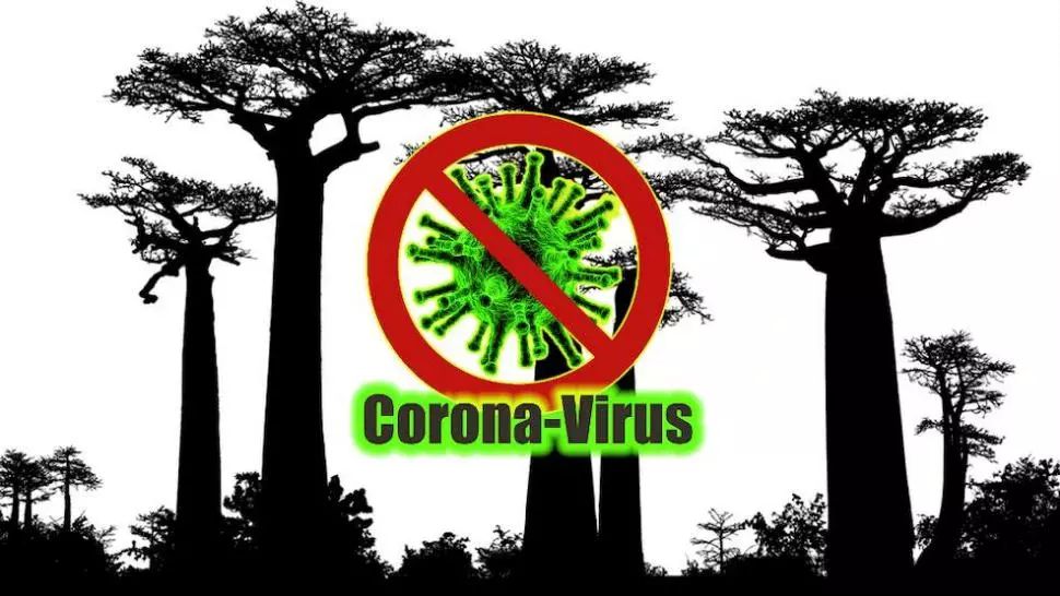 COVID-19. Primele cazuri de infectare cu coronavirus din Madagascar