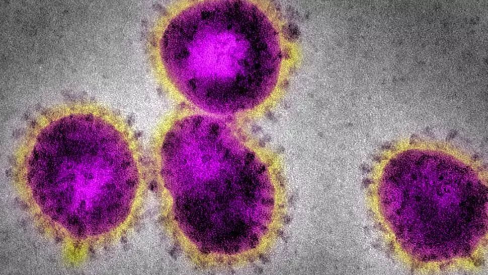 O zi din viața unui pacient cu coronavirus . Mărturia bărbatului care a aflat de la televizor că are COVID-19