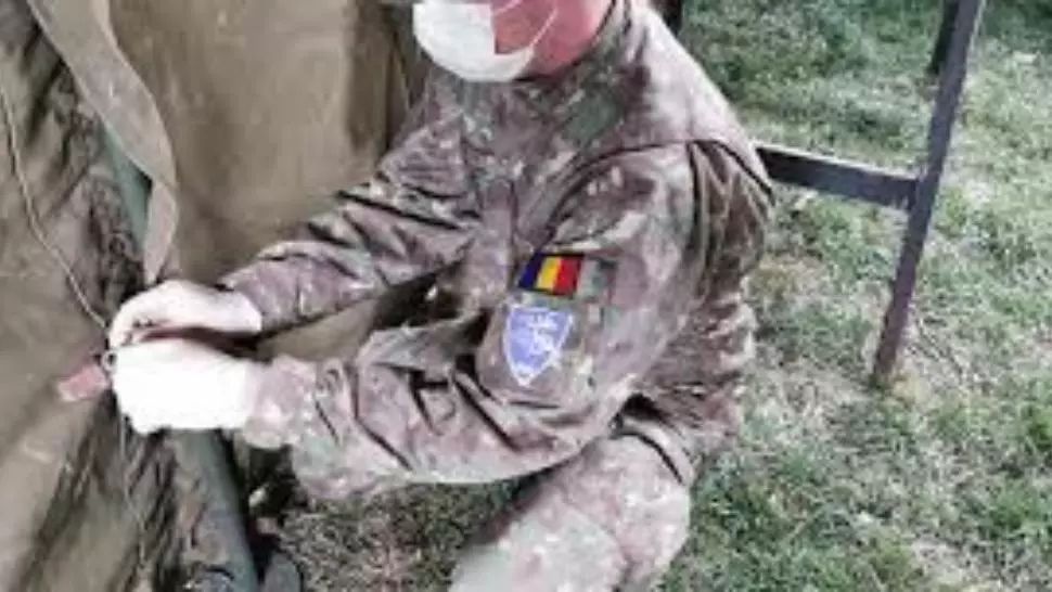 MApN va monta corturi medicale şi containere, la Institutul Ana Aslan