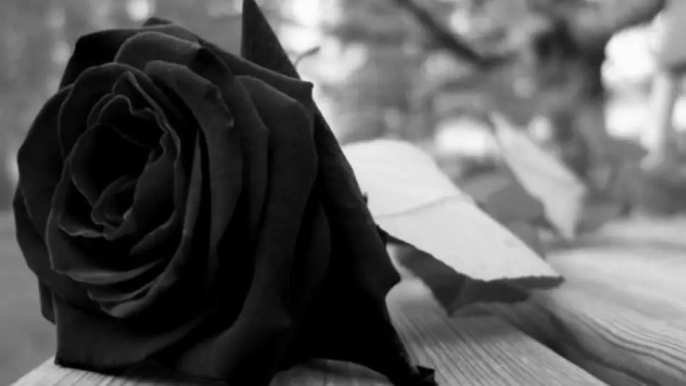 Tragedie în lumea filmului. Un actor URIAȘ a murit ÎMPUȘCAT. Anunțul autorităților a șocat