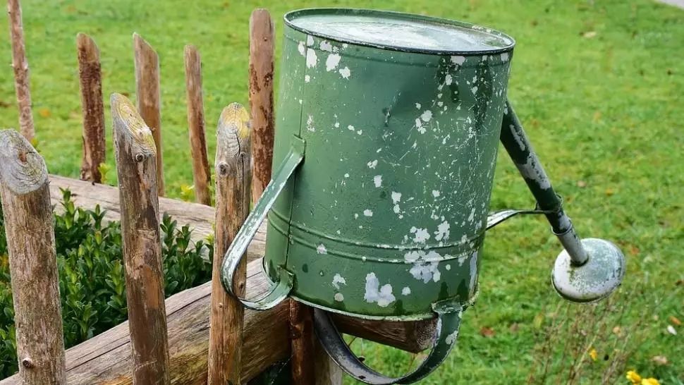 Laurențiu Botin: Patru povești din criză și o întrebare. Când am uitat să facem ce trebuie?