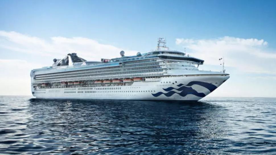 MAE: Opt români de pe nava Grand Princess, aflată în carantină, au revenit în ţară