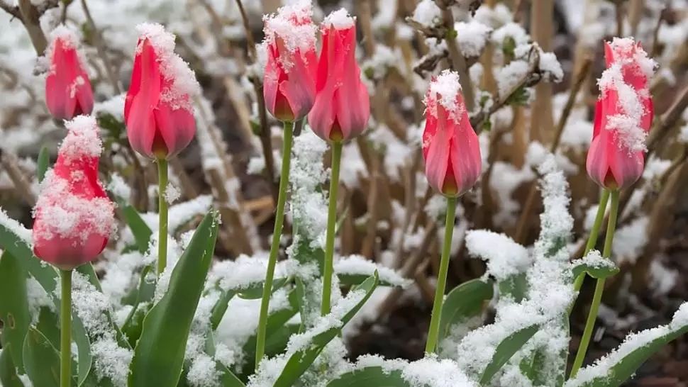 Schimbare radicală a vremii. Temperaturile scad dramatic: avertismentul meteorologilor 