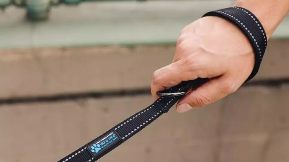 Tânăr filmat când "se plimba" cu un bărbat în lesă. Măsura luată de polițiști