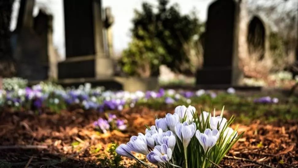 Loc de veci în București – care sunt prețurile corecte?