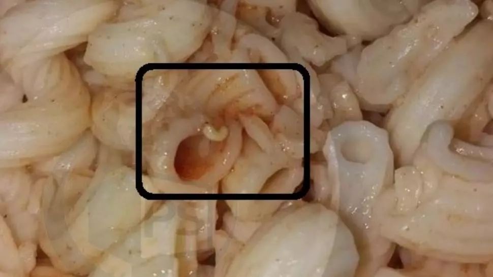 Macaroane cu viermi, la Spitalul Județean Satu Mare