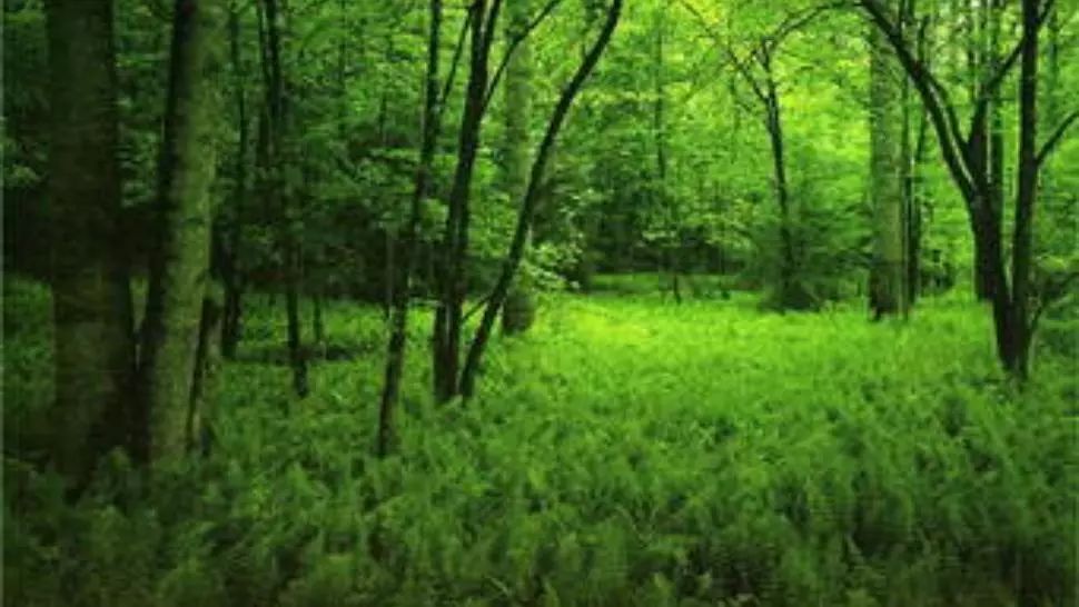 Postul Paștelui 2020. Cum ne păstrăm energia în perioada Postului Mare