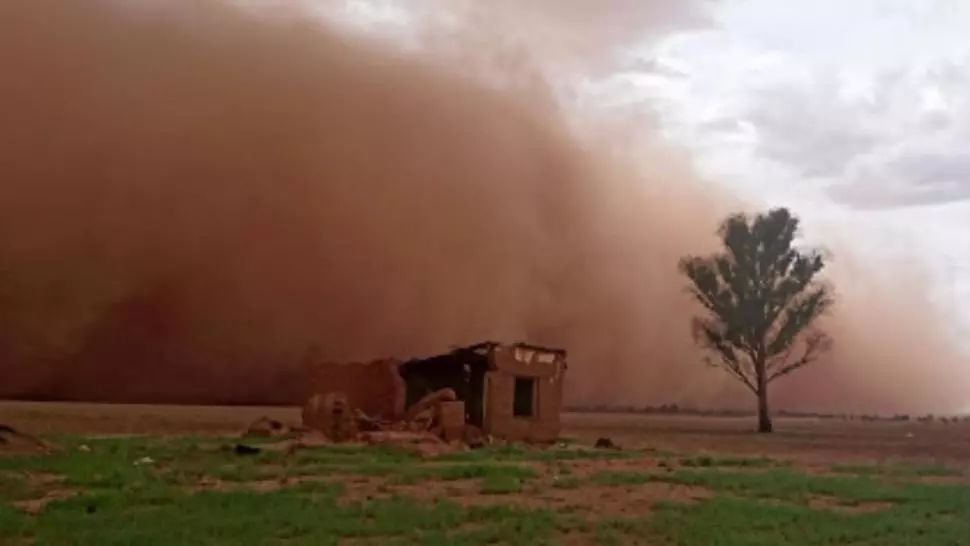 Nor de PRAF peste România: "Agravează consecințele măsurilor adoptate pentru gestionarea crizei sanitar-ecologice"