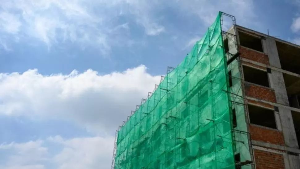 Care sunt cele mai bune plase de protecție și unde le găsești (P)