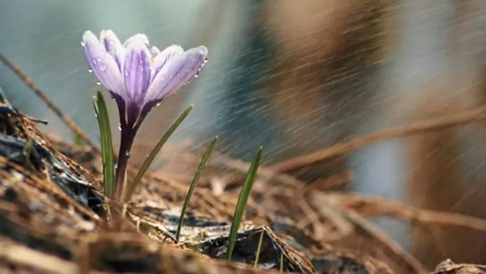 Vremea 6 martie 2020 - Ce se întâmplă azi cu temperaturile din toată țara