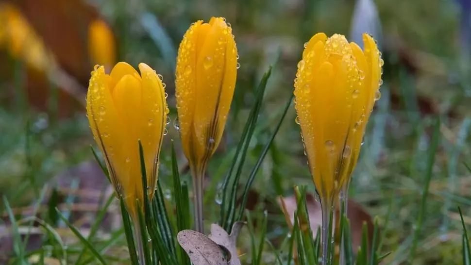 Prognoza meteo pe o lună. Schimbări dramatice: cum va fi vremea până pe 13 aprilie