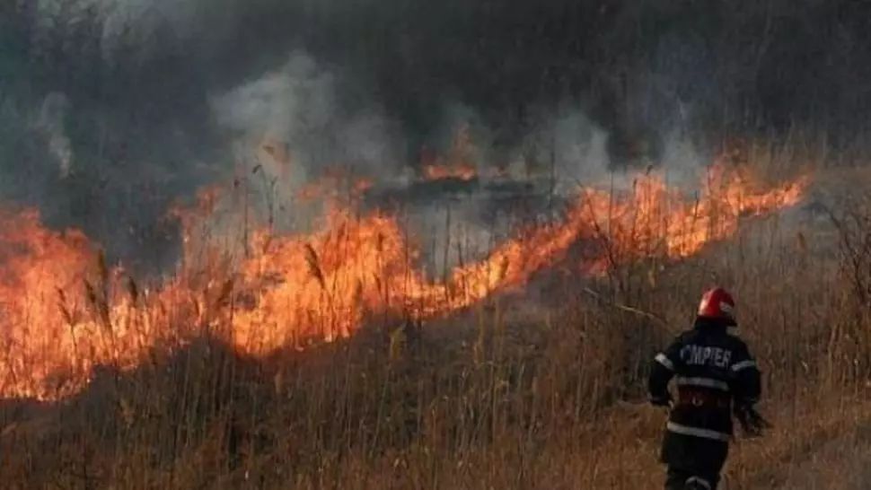 Incendiu puternic de vegetație în Vaslui. Au ars șase hectare 