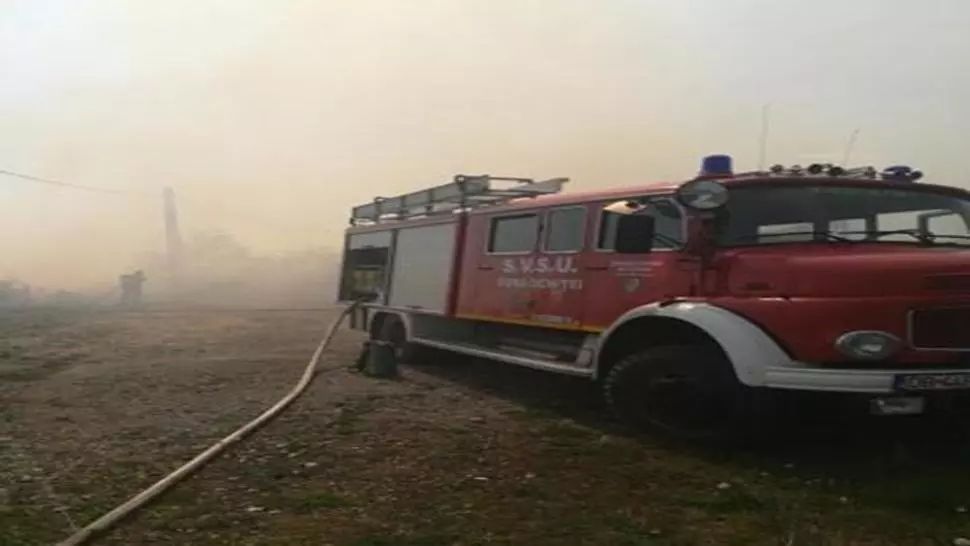 Puternic incendiu de vegetație la Ocnița, jud. Dâmbovița. Mai bine de 20 de hectare de teren, cuprinse de flăcări