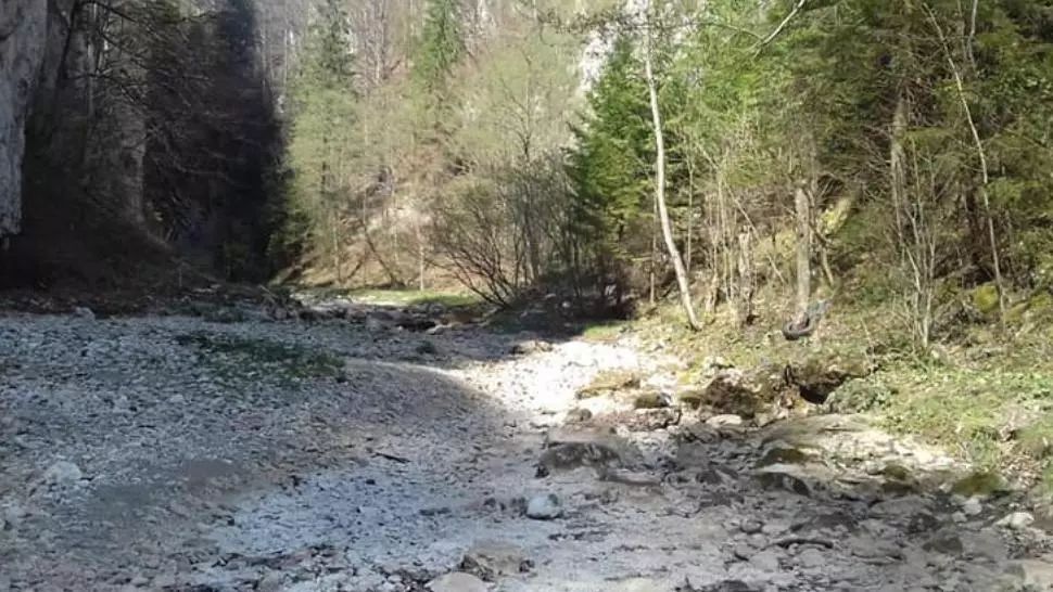 IMAGINI de necrezut! Râul Dâmbovița a SECAT în zona montană