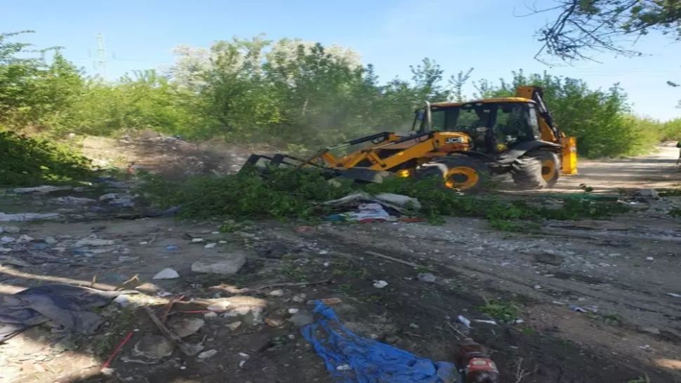 Dezastru ecologic pe marginea râului Jiu, în județul Dolj