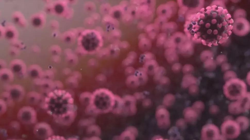 5000 de teste rapide de diagnosticare COVID 19 au ajuns la Călărași