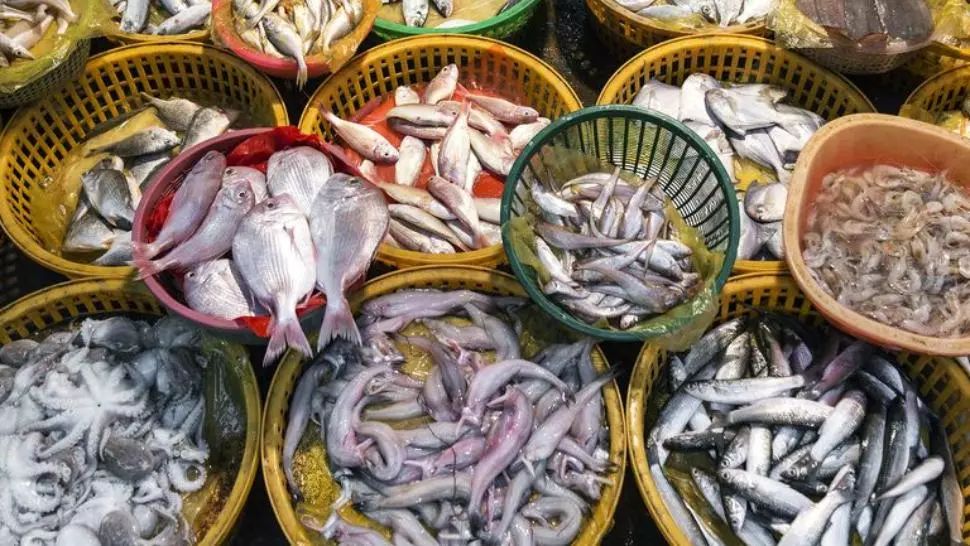 VIDEO În Wuhan, piețele stradale revin la viață. De vânzare numai țestoase, pești, broaște, fără alte animale vii 