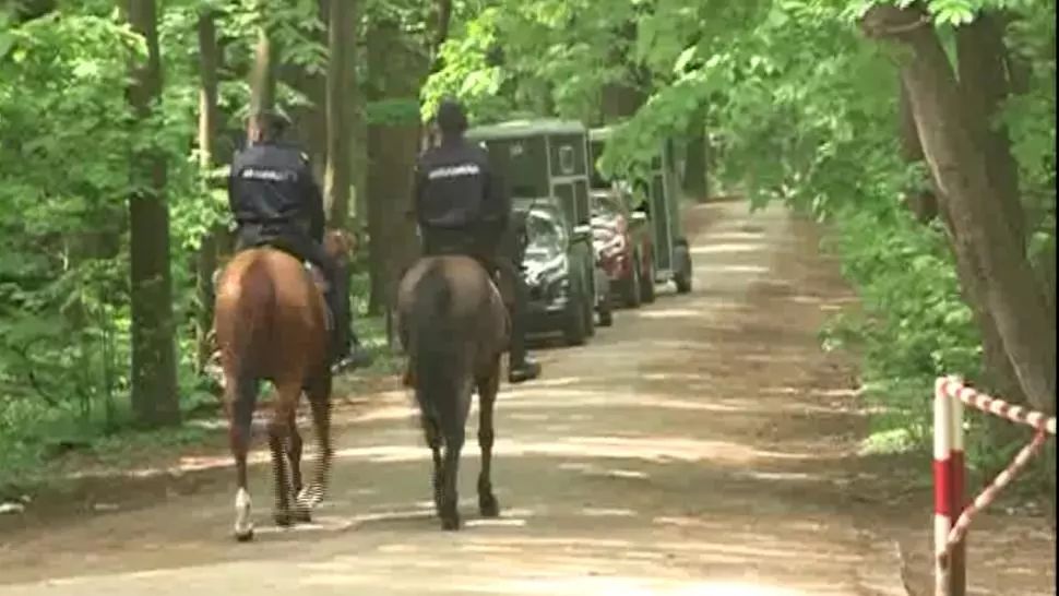 Pădurea Băneasa, aproape pustie. Jandarmii au patrulat călare pentru a se asigura că românii respectă restricțiile 