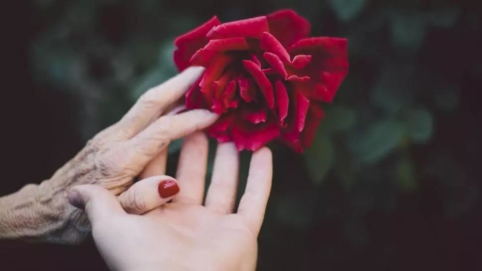 Laurențiu Botin: Orizont de așteptare. Speranța-i cu flori de mai în păr