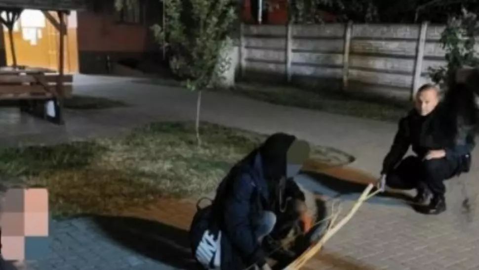 VIDEO Au încălcat ordonanțele ca să se ducă la pescuit ilegal pe Mureș