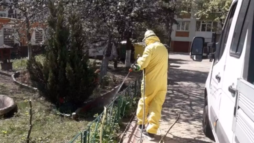 Orașul lui Klaus Iohannis, invadat de căpușe. Consilierii locali din Sibiu au dubii privind calitatea substanțelor folosite