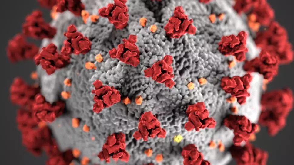 ROMÂNIA, la 2 luni de la primul caz de COVID 19 - VIDEO