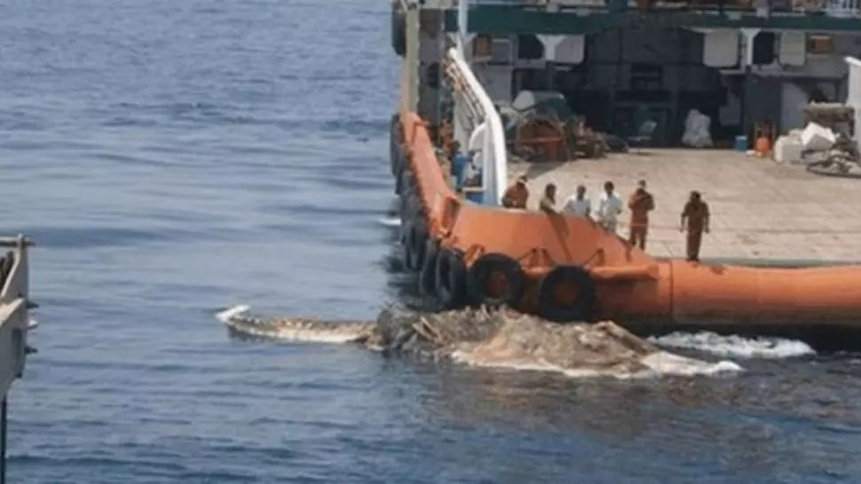 Terifiant! Marinarii au scos din adâncuri o creatură misterioasă. Au îngheţat de spaimă! Ce era