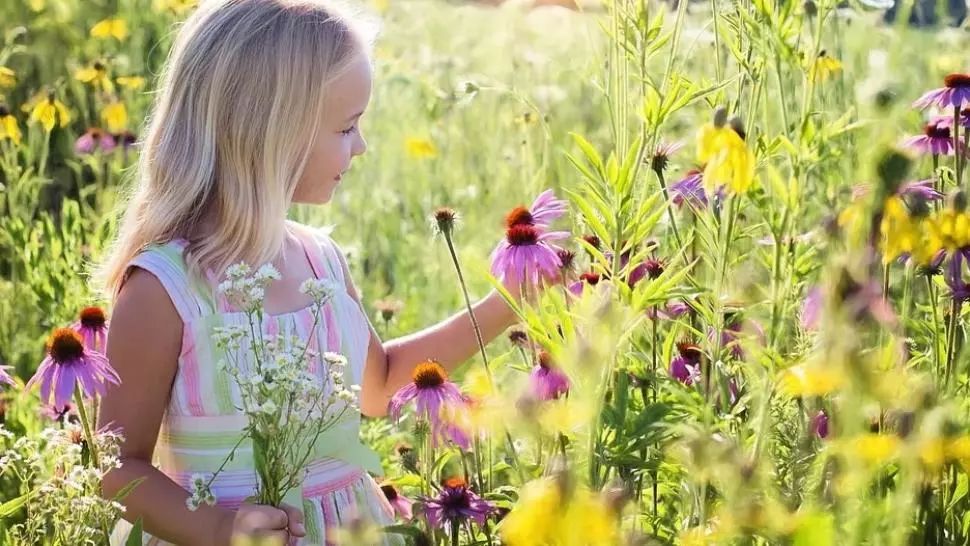 Florii. Mesaje Florii. Ce nume se sărbătoresc de Florii. La mulți ani!