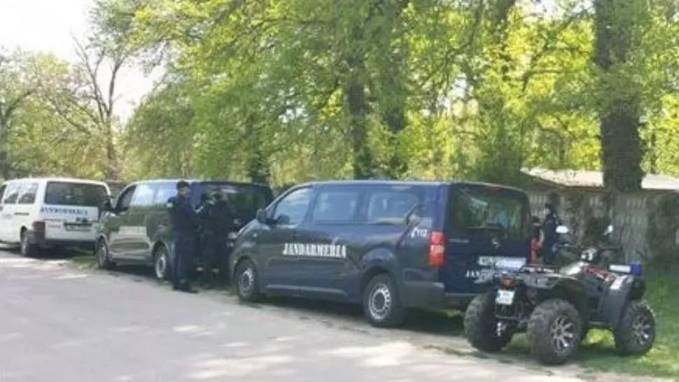 VIDEO Acțiune de amploare în Timiș, se caută 12 imigranți fugiți din carantină