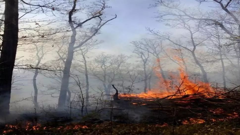  Incendiu de proporții într-o pădure apropierea localității Răstolț, jud. Sălaj