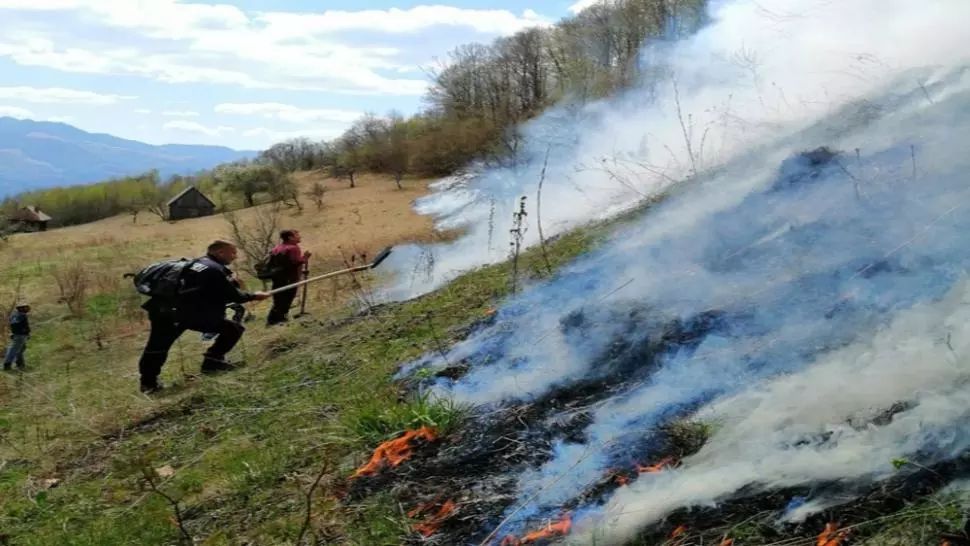 Intervenție DIFICILĂ a pompierilor din Alba pentru stingerea unor incendii de pădure în Munții Apuseni