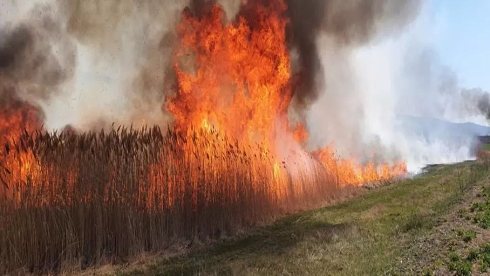După amiază de coșmar pentru șoferi: DN1, blocat pe sensul de la munte la Bucuresti, din cauza unui incendiu de vegetație 