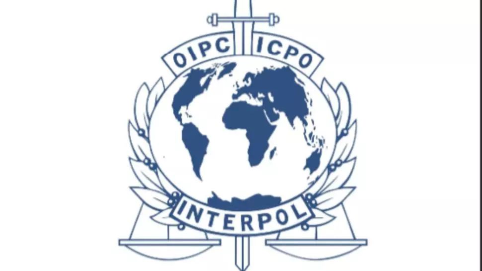 Interpol avertizează: în vremuri de COVID-19, traficanții de droguri și-au schimbat modul de operare! Vezi la CE metode INGENIOASE au apelat