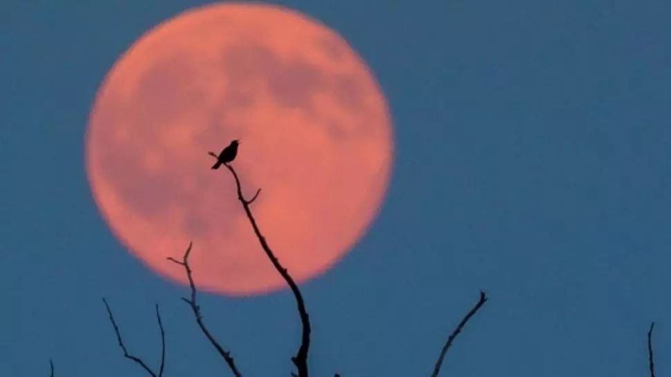 Ultima Superlună din 2023 are loc pe 29 septembrie - Motivul pentru care i se spune Luna Recoltei