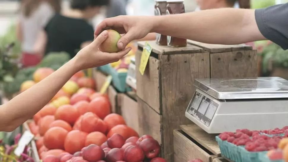 Culisele statului paralel | Cum a ajuns România, fost grânar al Europei, să cumpere de la vecini. Produsele agricole, date la export