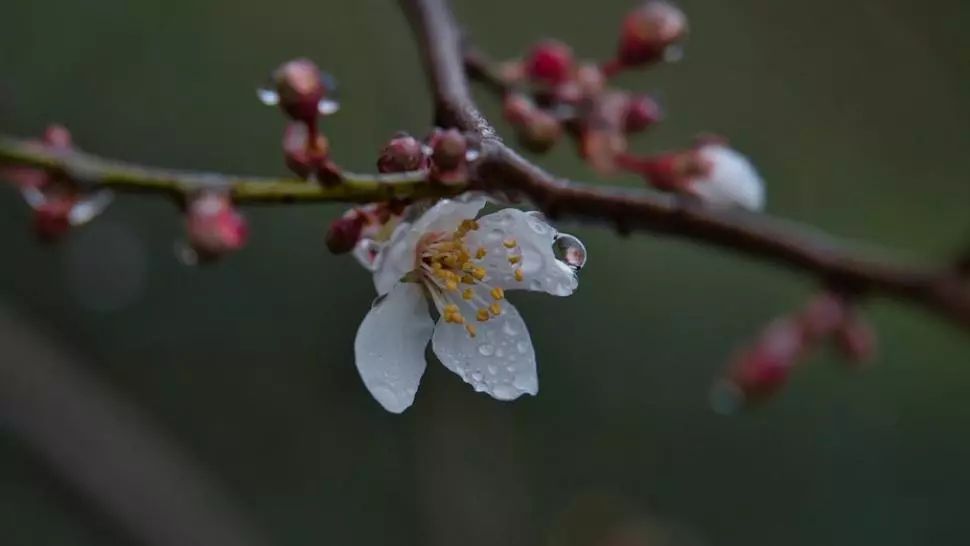 Prognoza meteo pe o lună. Schimbări radicale: cum va fi vremea până pe 4 mai 
