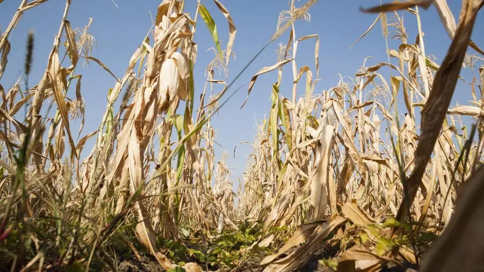 Florin Cîțu: De la agricultură vine cel mai mare risc de recesiune tehnică