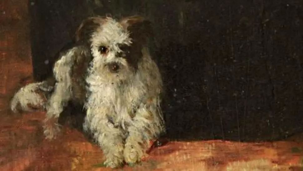 MNAR, tur virtual inedit: tablouri cu animale de companie 