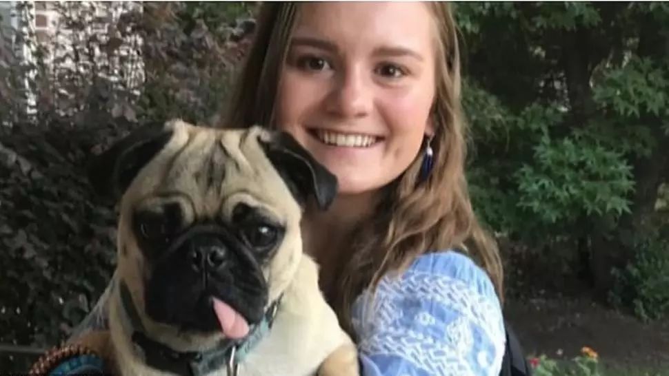 VIDEO Winston, primul câine din Statele Unite infectat cu noul coronavirus 