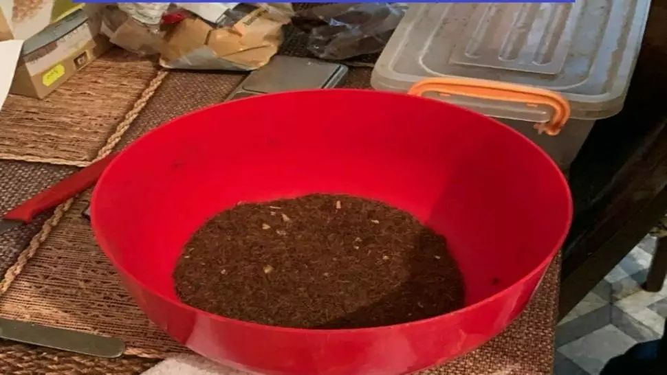 VIDEO/ Percheziţii la suspecţi de trafic de droguri şi substanţe psihoactive din Argeș. Un gardian de la Penitenciarul Mioveni, vizat în același dosar 