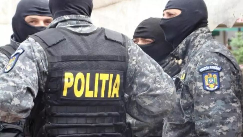 Percheziții la persoane bănuite de tăiere ilegală de arbori, furt de arbori și fals în înscrisuri