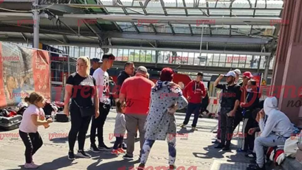 VIDEO Vasluienii alungați de la o fermă din Germania au ajuns să cerșească