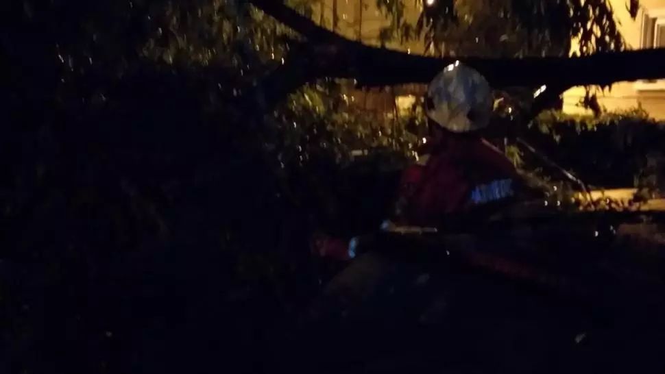 Prăpăd în Craiova. Mașini avariate de copacii doborâți de vânt și gospodării inundate