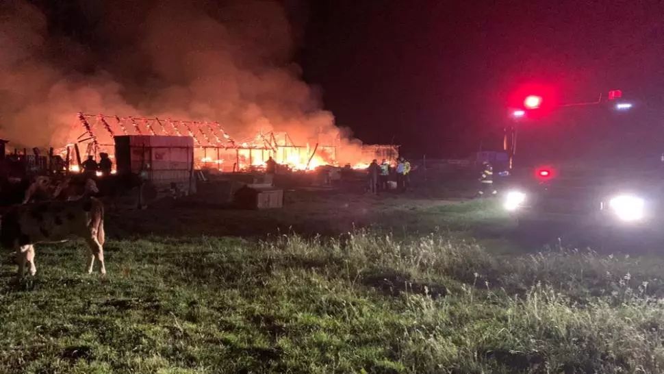 Incendiu uriaș la o fermă din Sibiu, peste 100 de animale au fost salvate