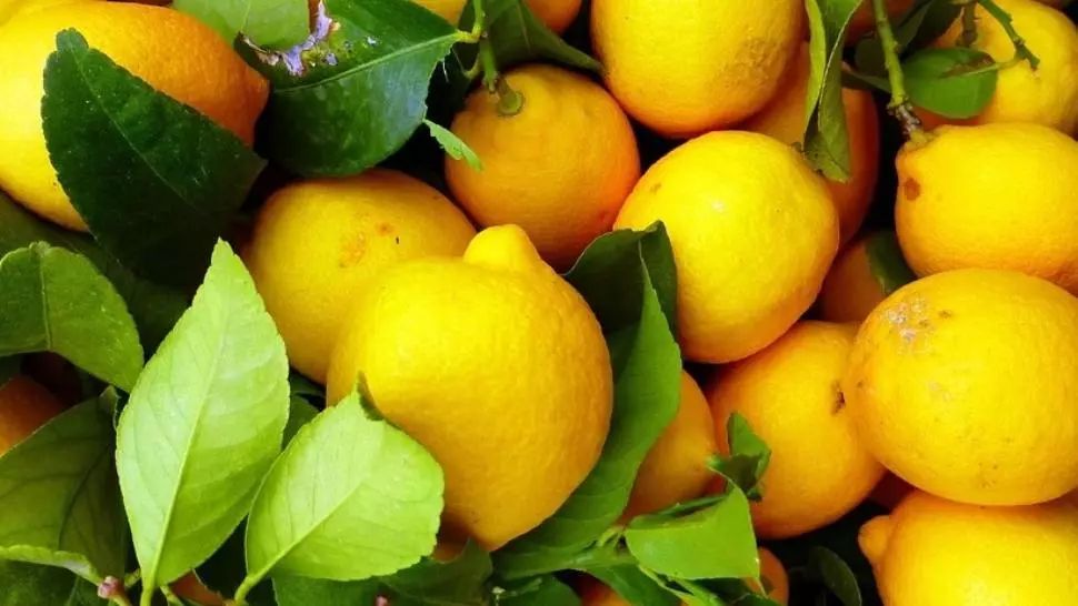 Cea mai rapidă cură de slăbire: dieta cu lămâi. Cum să slăbeşti un kilogram pe zi