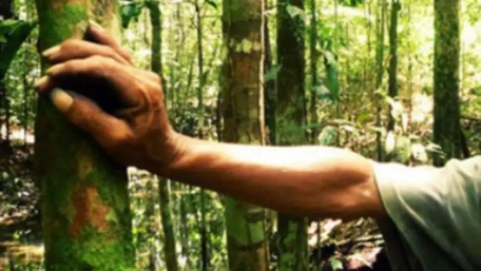 Doi bărbați din Botoșani, găsiți morți, într-o pădure din Boian, cu două sticle de spirt lângă ei. Cauza decesului 